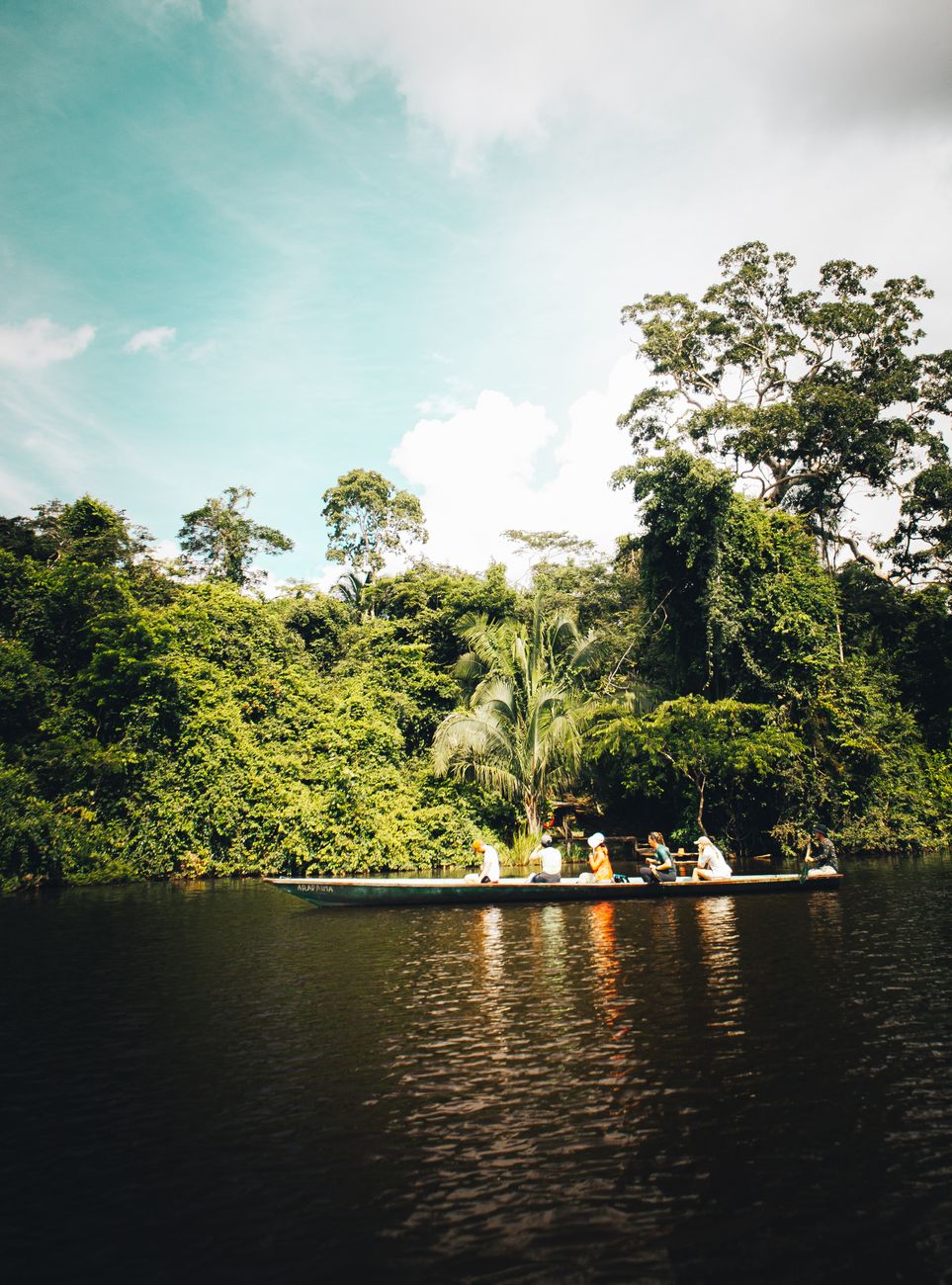 Amazônia ecoturismo rio e floresta